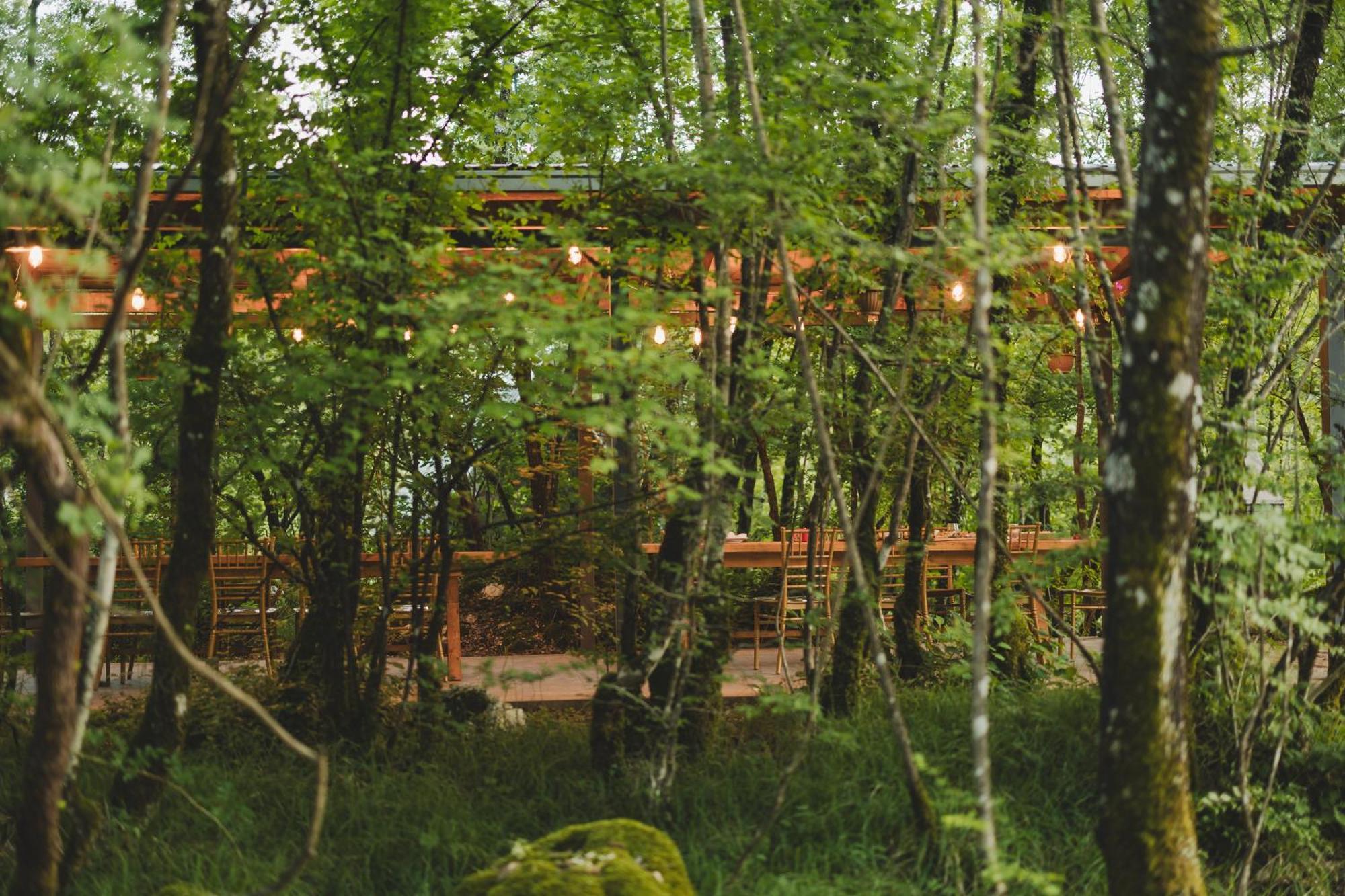 Vukova Dolina Apartments 采蒂涅 外观 照片